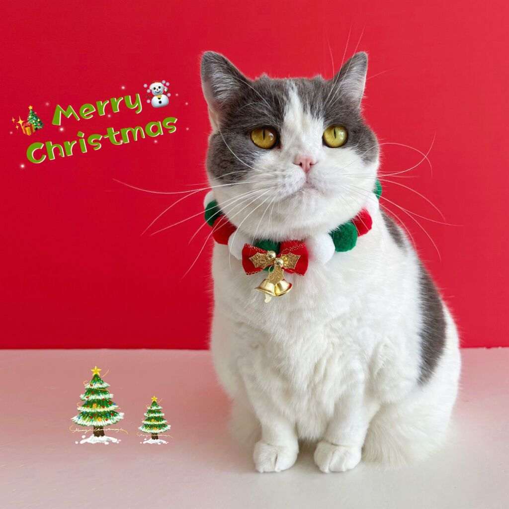 Christmas Cute Dog Cat Plush Ball Necklace Soft Elasticity Collar Pet Neck Accessories Dog Christmas Collar With Bow - Elevra